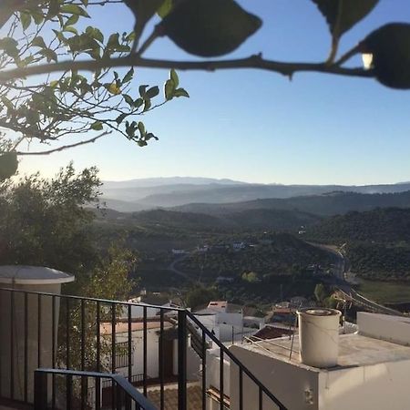 Mirador Del Olivar Olvera Bagian luar foto