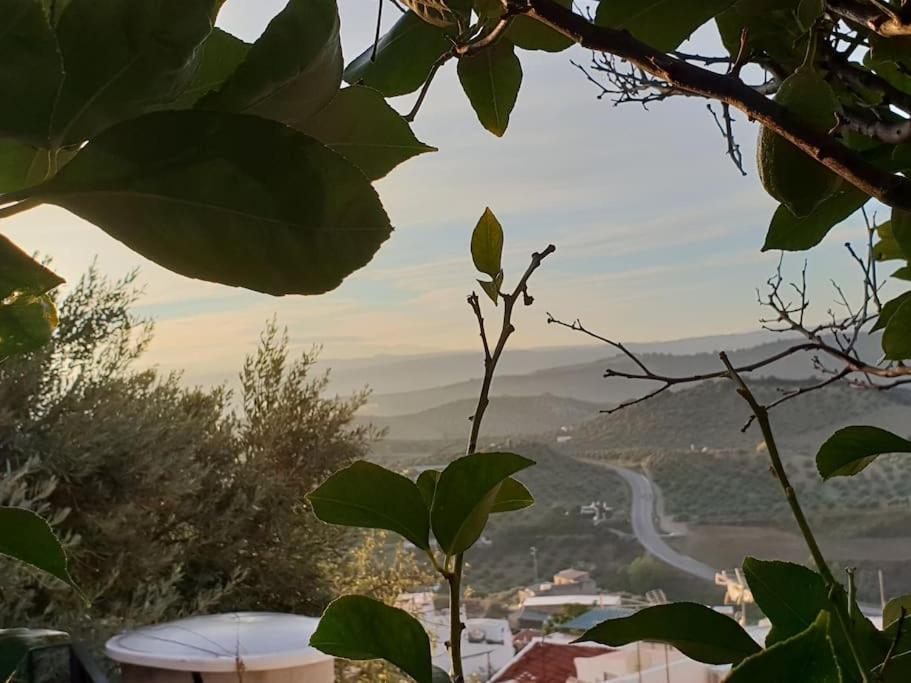 Mirador Del Olivar Olvera Bagian luar foto
