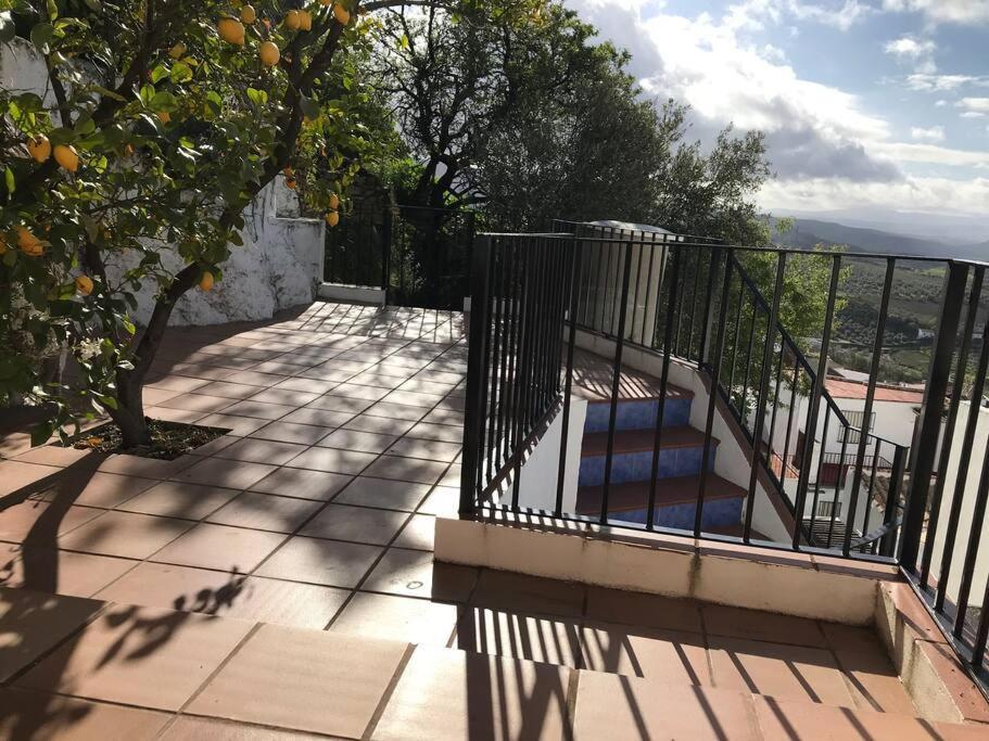 Mirador Del Olivar Olvera Bagian luar foto