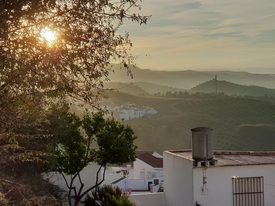 Mirador Del Olivar Olvera Bagian luar foto